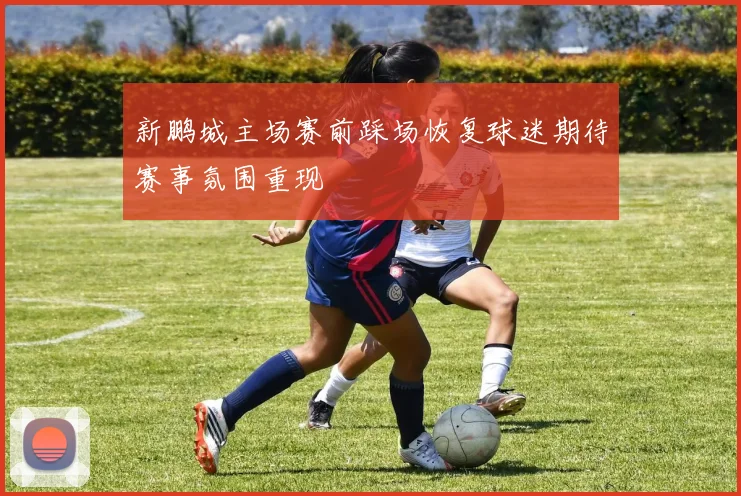 新鹏城主场赛前踩场恢复球迷期待赛事氛围重现
