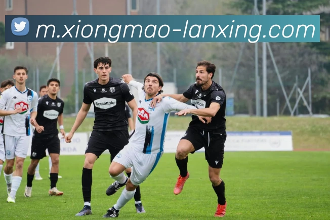 平台展示图